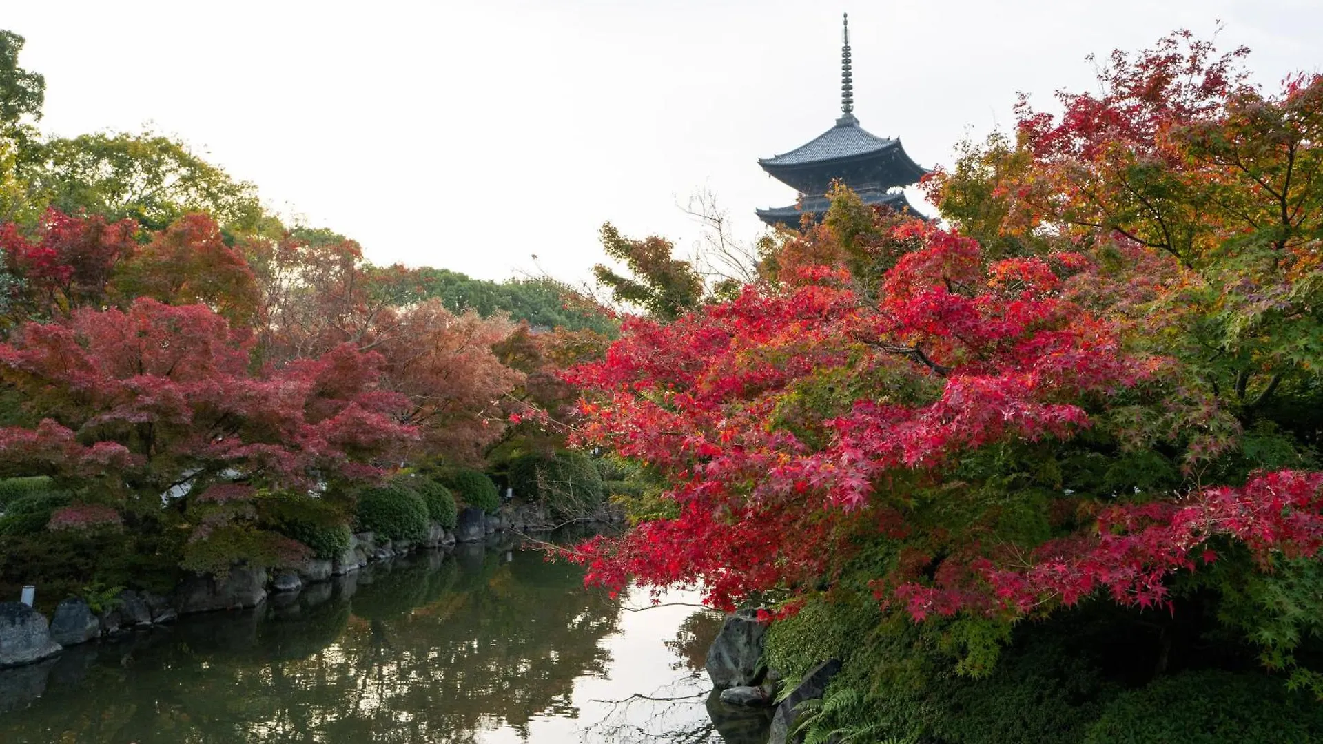 Kyoto Brighton Hotel 5*,  Japan
