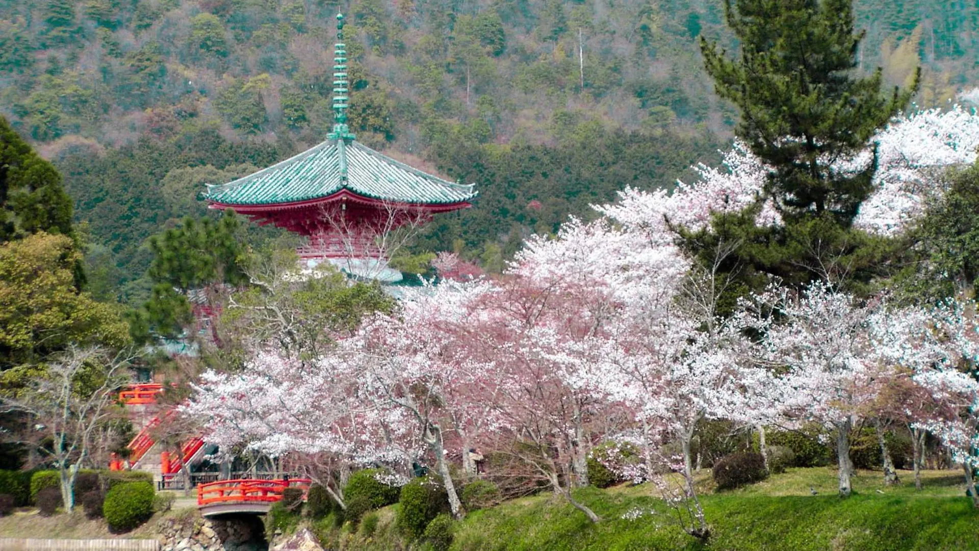 *****  Kyoto Brighton Hotel Japan