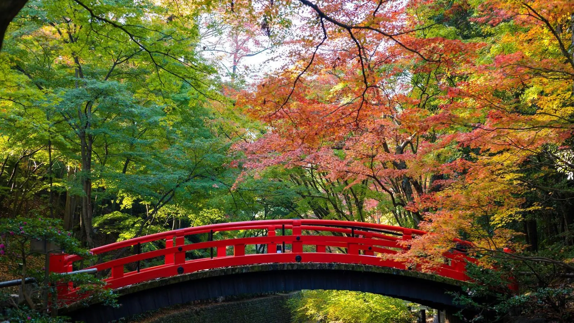 京都ブライトンホテル 京都市